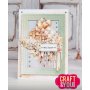 Craft & You - Stanzschablone - Old Photo Frame 9x13 cm