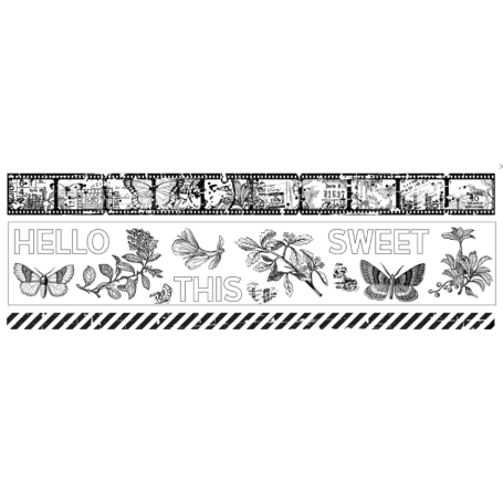 Field Notes PET Tape Set (5cmx5m)