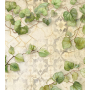 Stamperia  A6 Rice Paper Hintergründe All Around (8pcs)