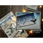 Showroom Party - Memories4you Stempel (A6)  "Tiere 002  Vögel"