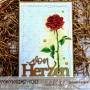 Showroom Party - Memories4you Stempel (A6) "Rosentraum"