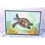 Showroom Party - Memories4you Stempel (A6)  "Schildkröte"