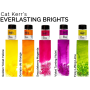 Magical Shakers Set - Everlasting Brights