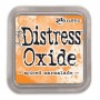 Ranger Distress Oxide - spiced